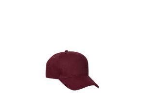 Texas Bull Cap