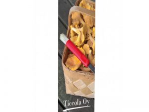 Roll-up Business