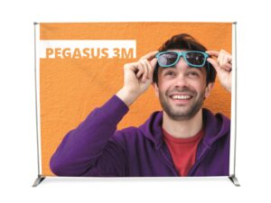 Mediaseinä Pegasus